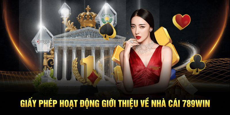Giấy phép hoạt động giới thiệu về nhà cái 789win