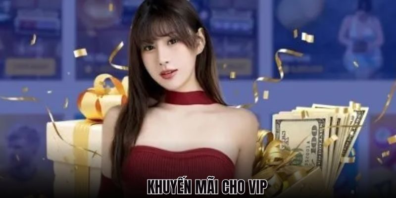 Thành viên VIP được hưởng các đãi ngộ không phải ai cũng có 