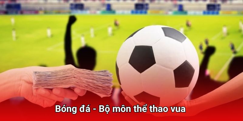 Tận hưởng bộ môn thể thao vua gay cấn