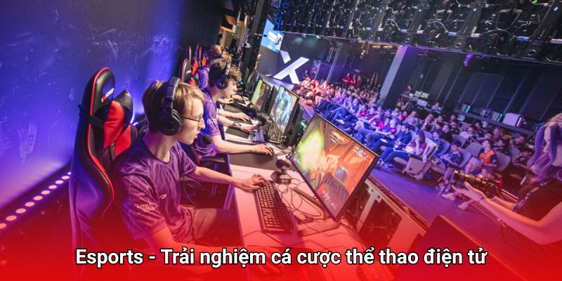 Đắm chìm trong thế giới cá cược Esports đỉnh cao