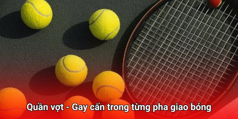Hồi hộp trong từng pha ném bóng tại cá cược quần vợt